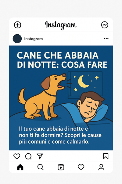 🐶 Cane che abbaia di notte: cosa fare davvero?
