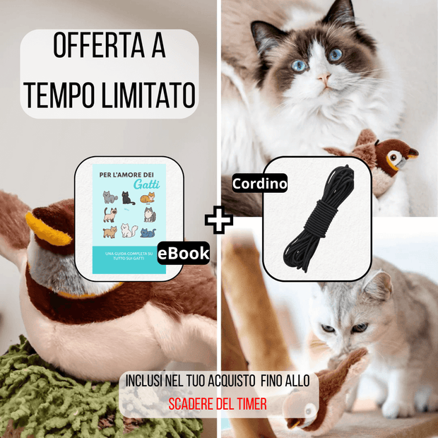 Birdie™ - Zampinoo